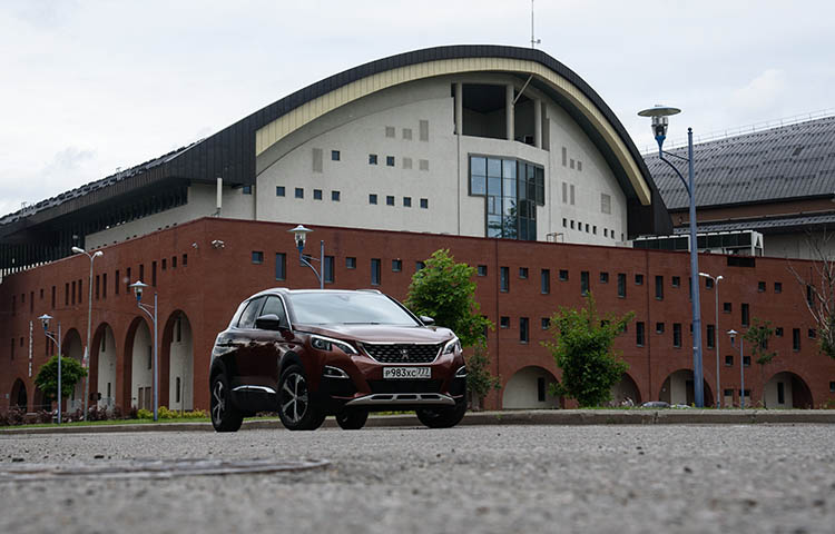  Peugeot 3008 