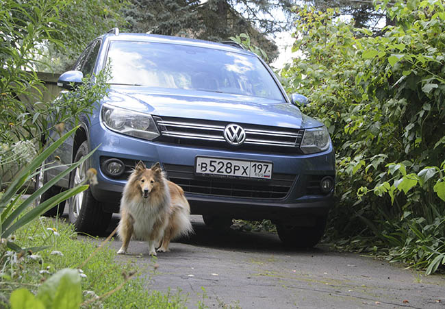 Volkswagen Tiguan –   .