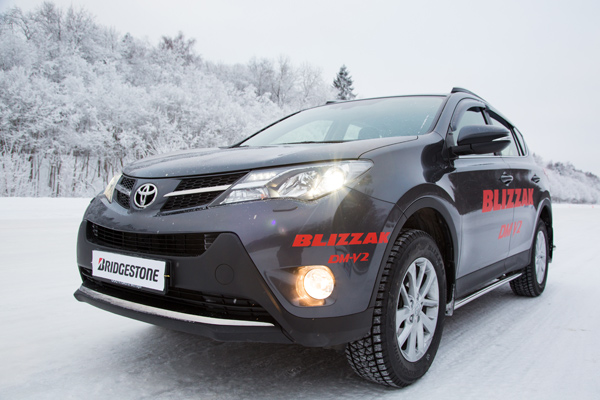        BRIDGESTONE Blizzak DM-V2