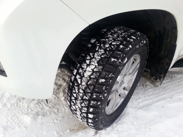        BRIDGESTONE Blizzak DM-V2