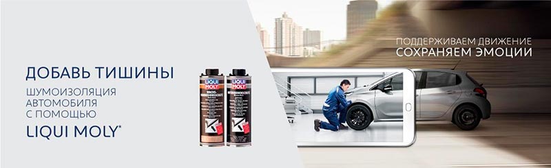   LIQUI MOLY  PEUGEOT  CITROEN